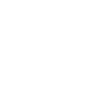 Villa dei Gelsomini Logo